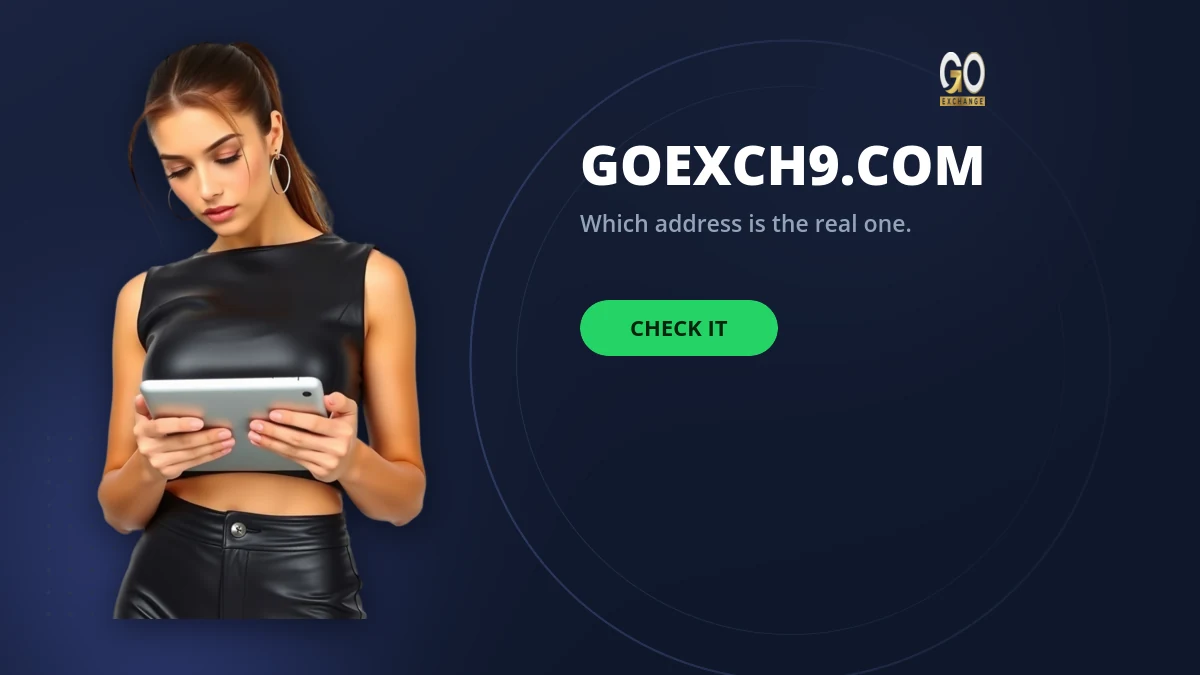 Checking a GoExch9 address in the browser bar before signing in